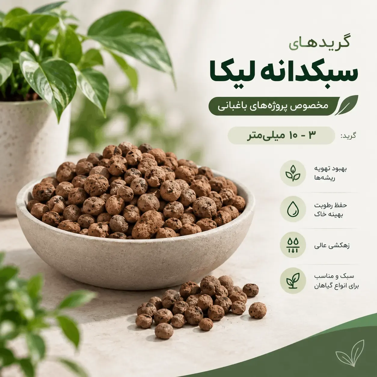 لیکا باغبانی ۴–۱۰
